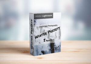 Winter Presets Lightroom
