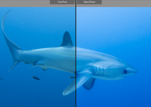 Olympus OM-System TG Underwater Presets – Bild 5